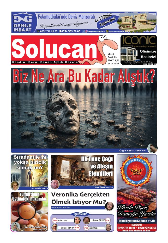 Gazete Solucan 79. sayı kapağı